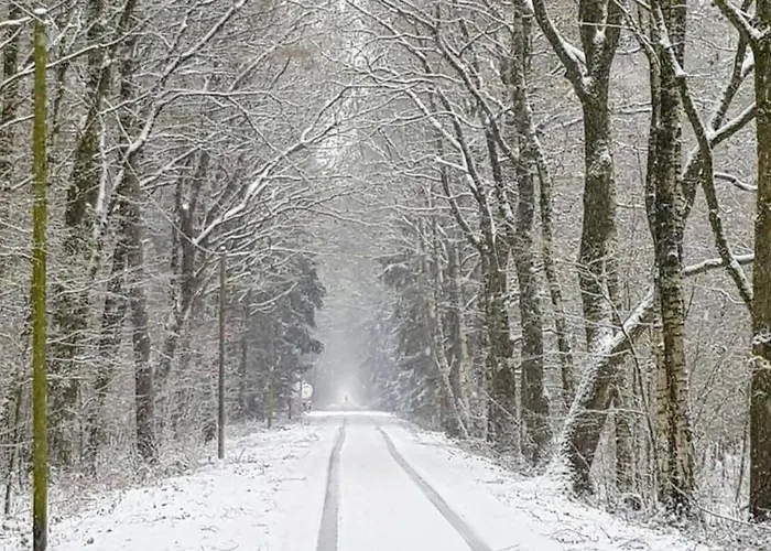 Thele Eg Lejlighed *